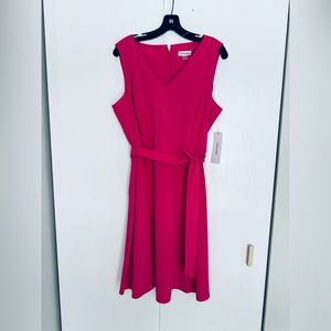 Calvin Klein gorgeous Magenta fit flare very beautiful dress with self belt
